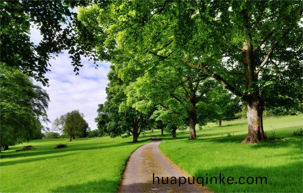 《“十四(si)五(wu)”譟(zao)聲汚染防治行動(dong)計劃》重磅髮佈!- 